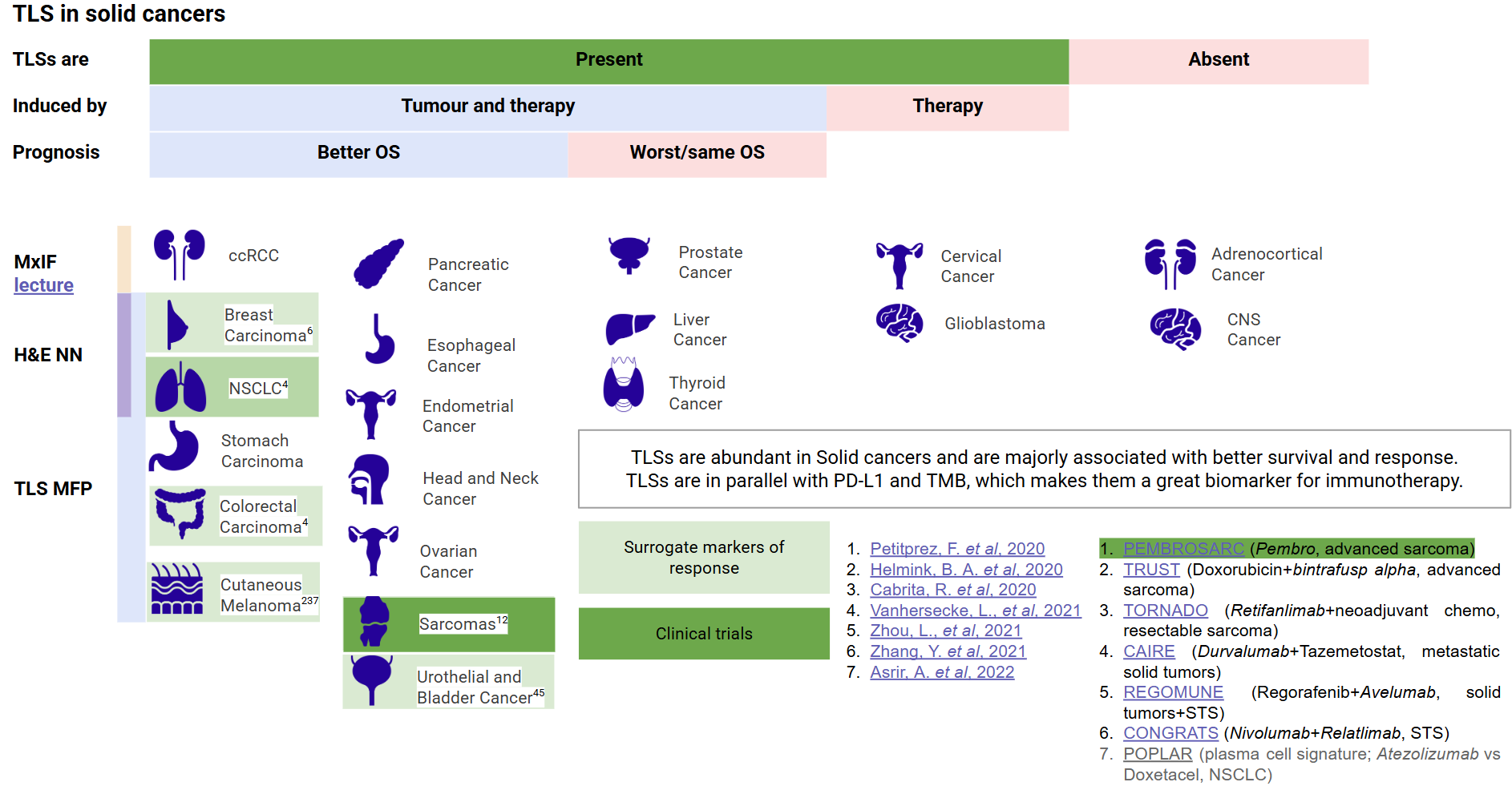 TLS across solid cancers: presence, induction, prognosis, detection, clinical trials