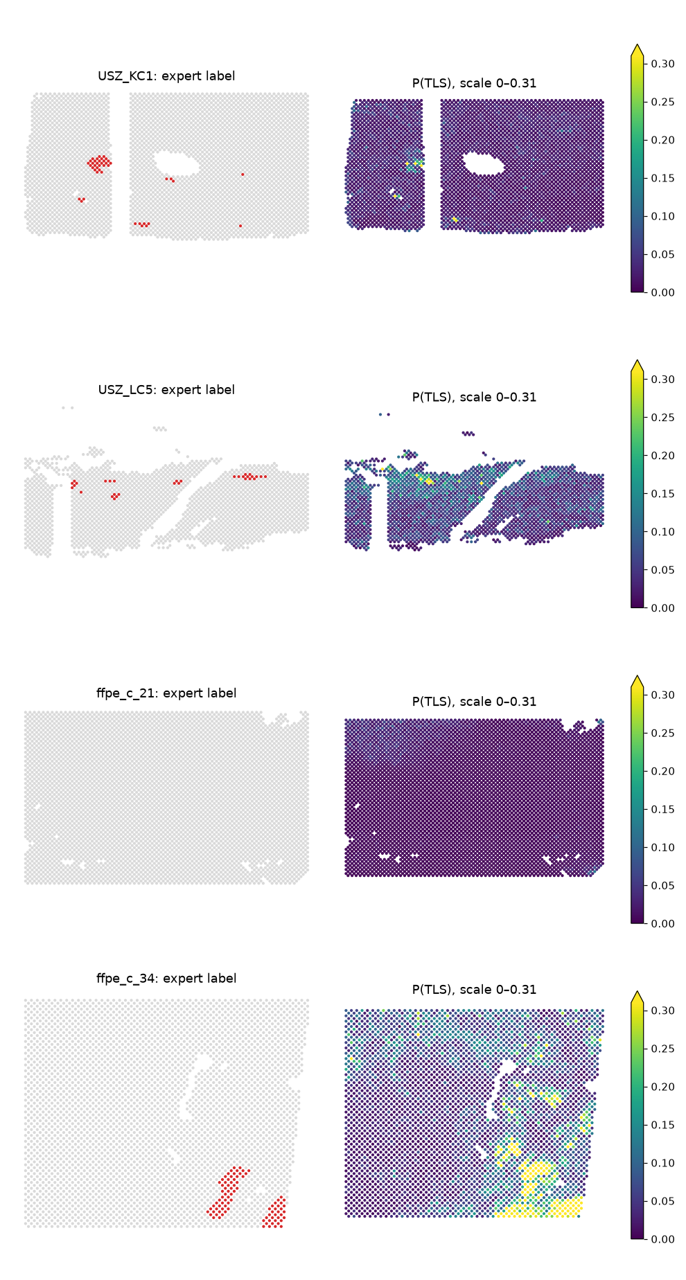 Predicted P(TLS) on held-out Visium sections
